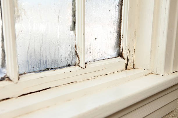 Visible Damage or Rot windows